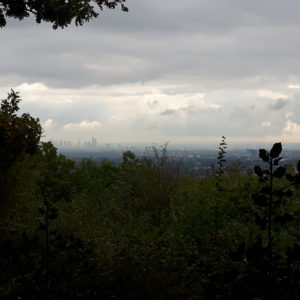 ttaunus07